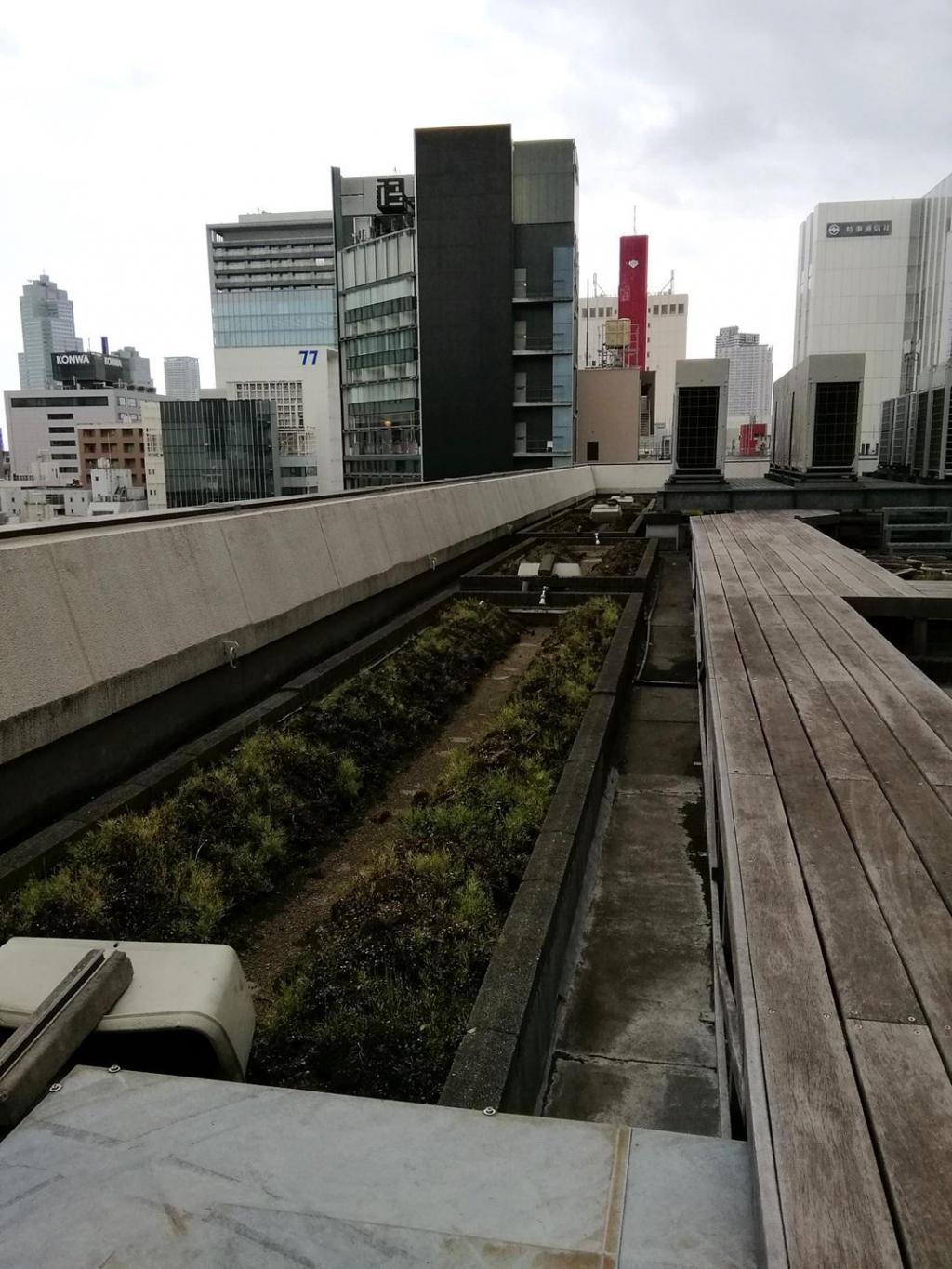  Waiting for rice and rice seedlings in the sky
　　~ Hakutsuru Sake Brewery ~