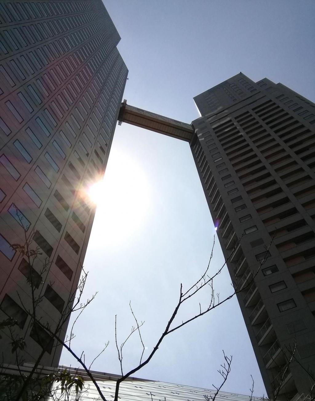  Looking up at high-rise building
　Mage Mikami-1, a high-rise building
　　St. Luke's St. Luke's Residence - St. Luke's St. Luke's