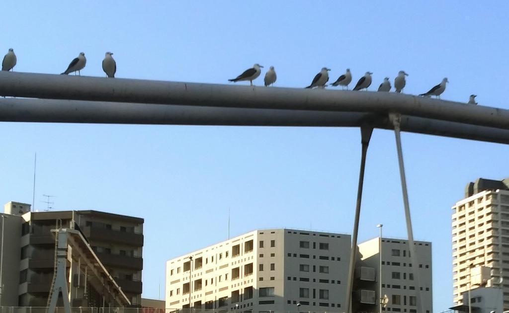  #On the banks of Sumida, the natural neighborhood