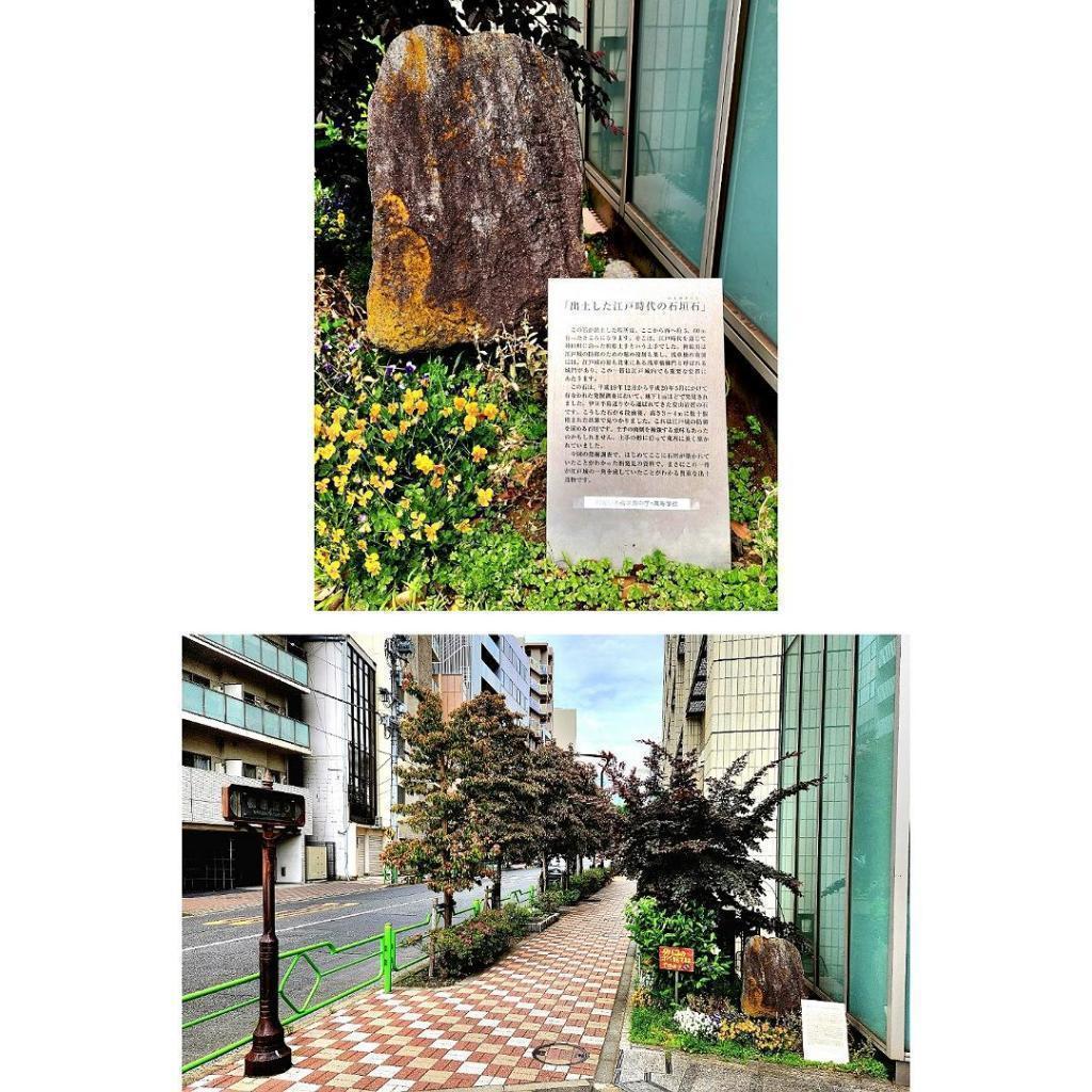  It's almost 120 years in Nihonbashi!
About "Kaichi Nihonbashi Gakuen" aiming for internationality while inheriting history and culture, and "Yanagihara embankment ruins" sleeping underground.