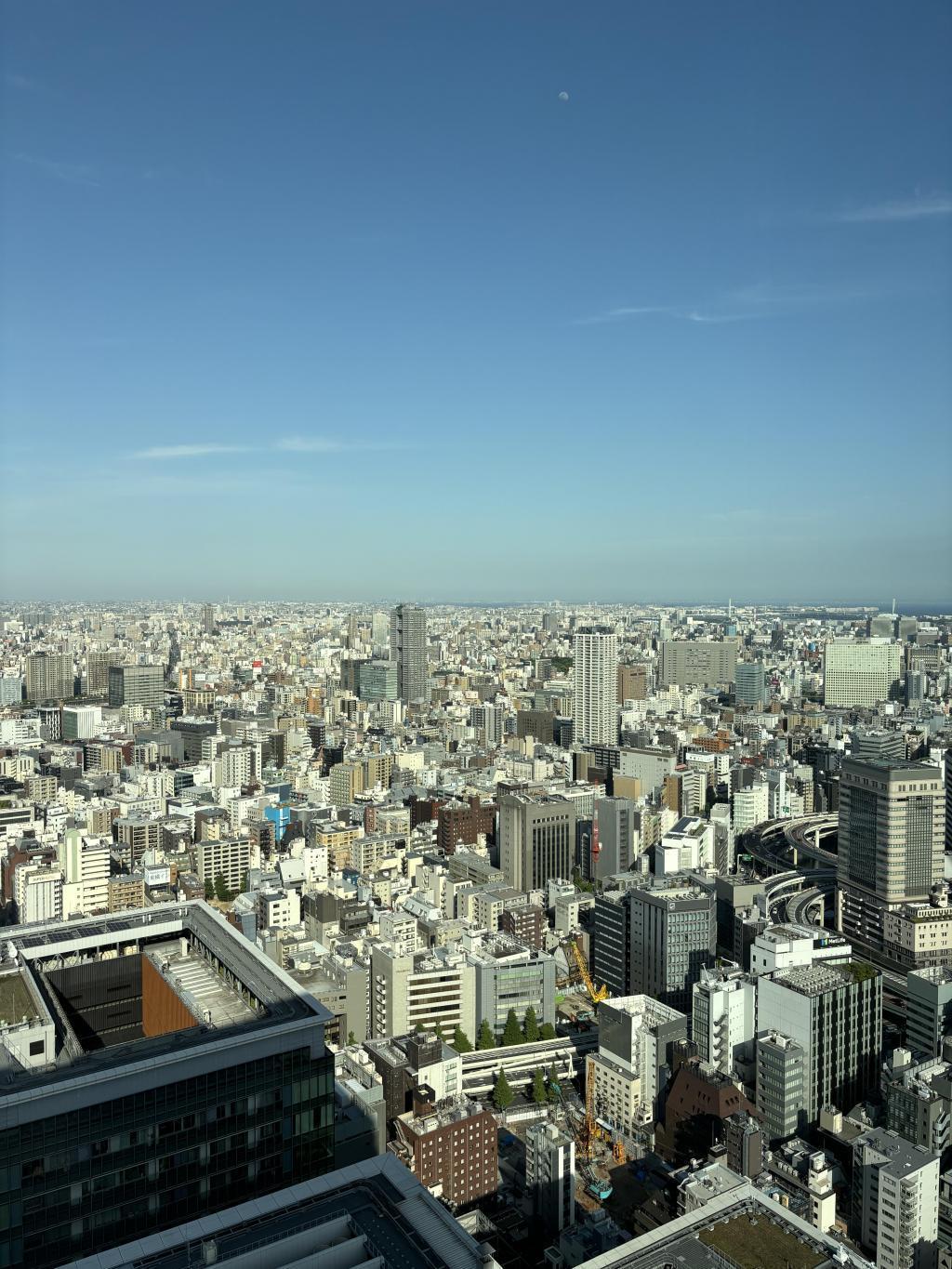  Drinking tea at Mandarin Oriental Tokyo