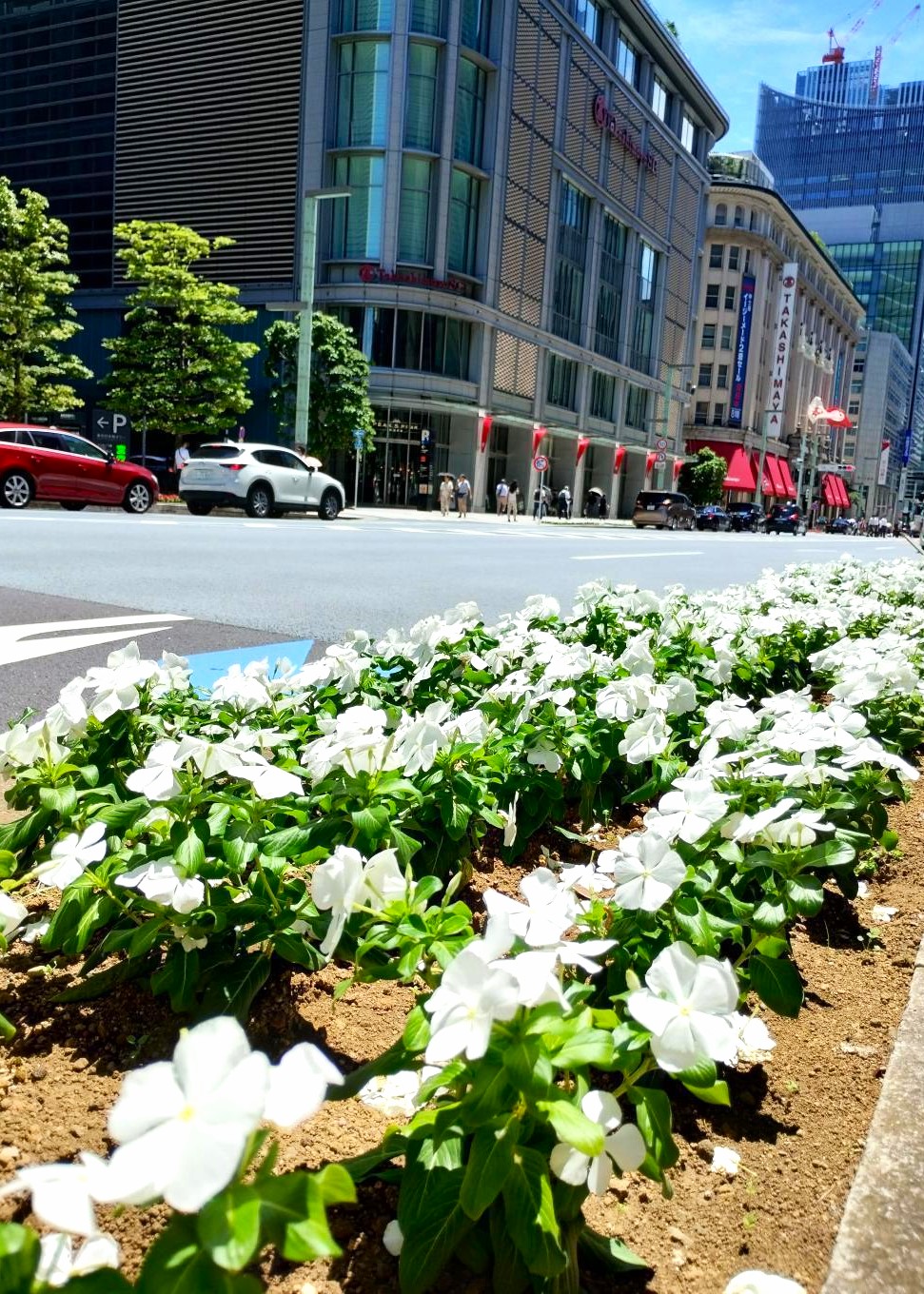  "Nichinchisou" along Chuo-dori Street