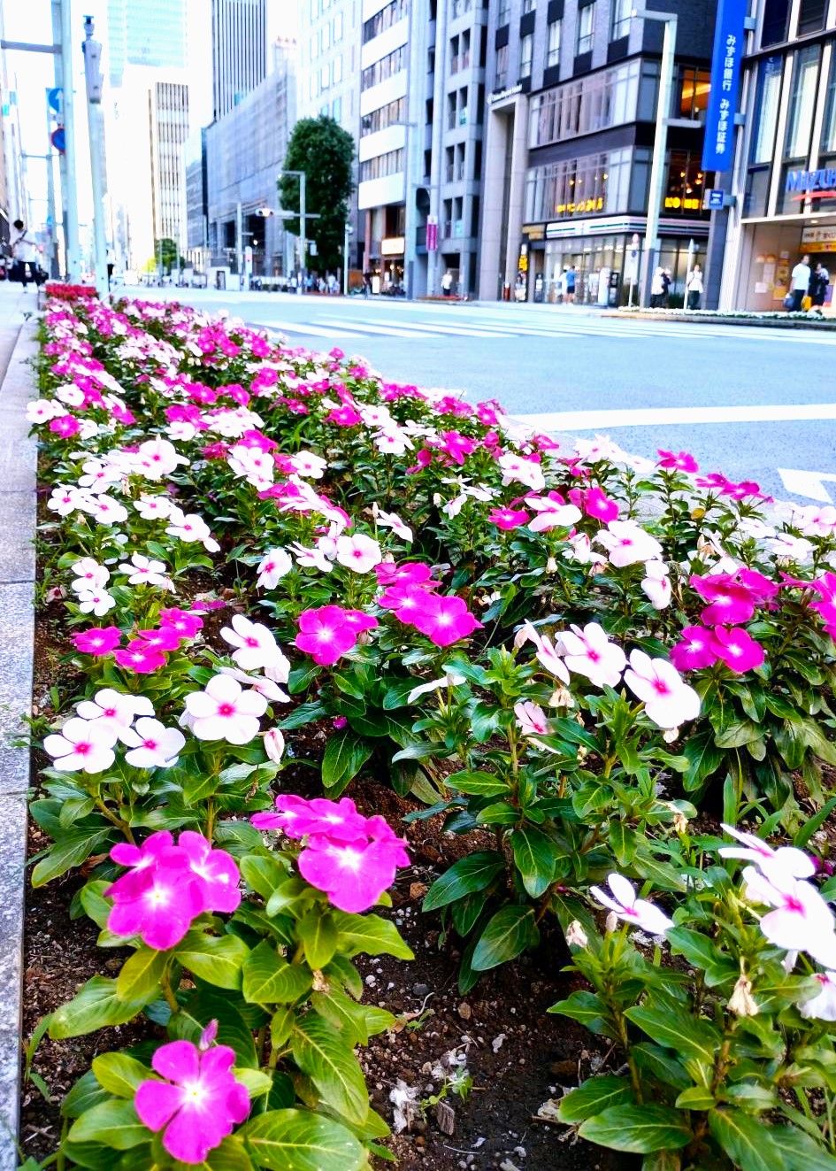  "Nichinchisou" along Chuo-dori Street