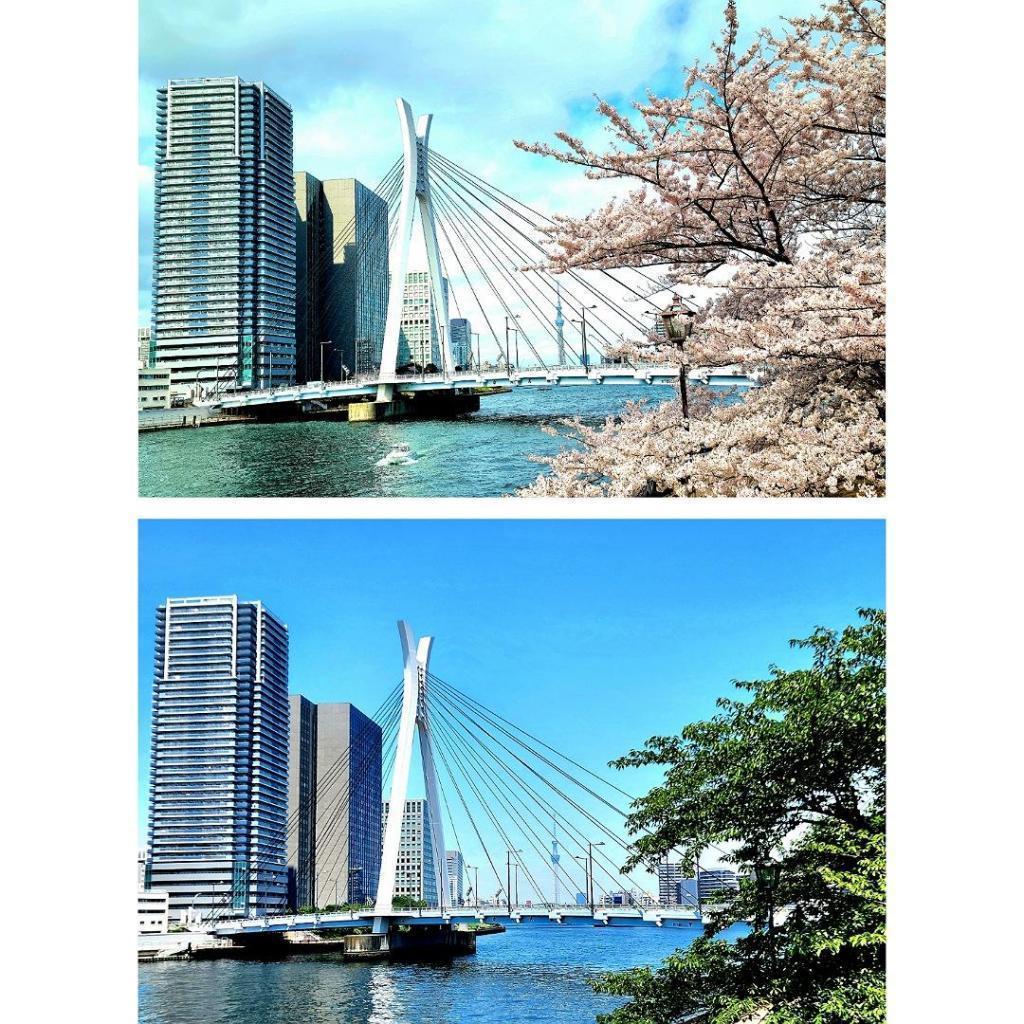 Planning and design of Chuo-ohashi Bridge Nine bridges over Shinkawa (4th series: Chuo-ohashi Bridge):