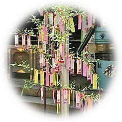  2024 Tanabata Festival (Star Festival) Prayer to the stars!