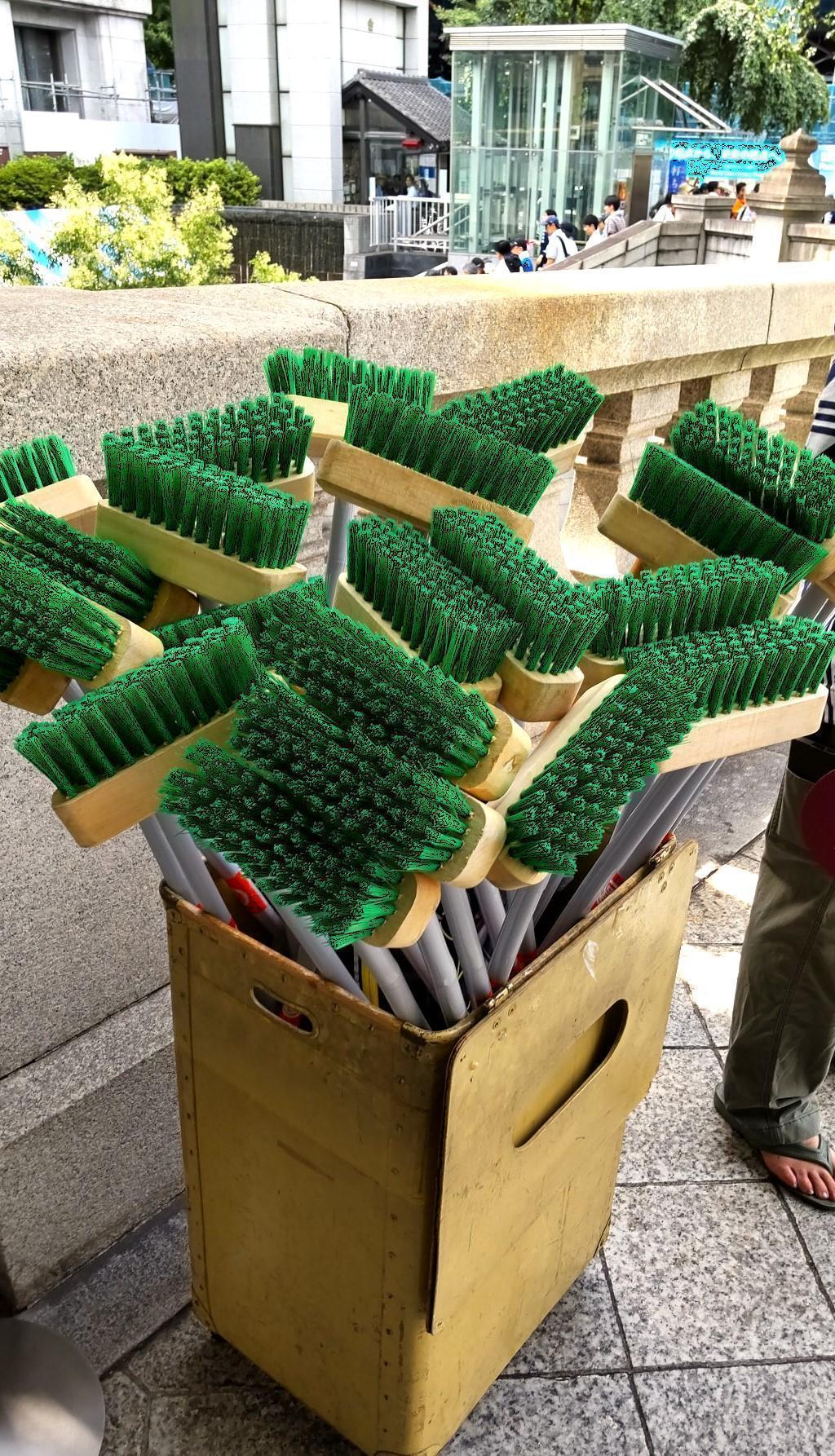  Summer Picture Diary - Washing "Nabashi Nihonbashi" ~　