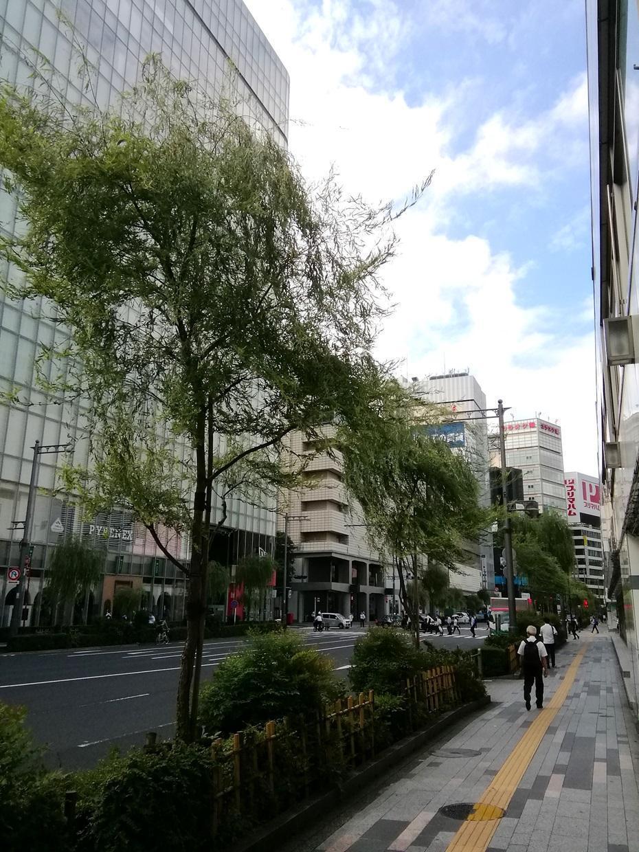 Willow pigeons, willows, young clock towers on Nishi Ginza Street
　　~ Sukiyabashi Park~