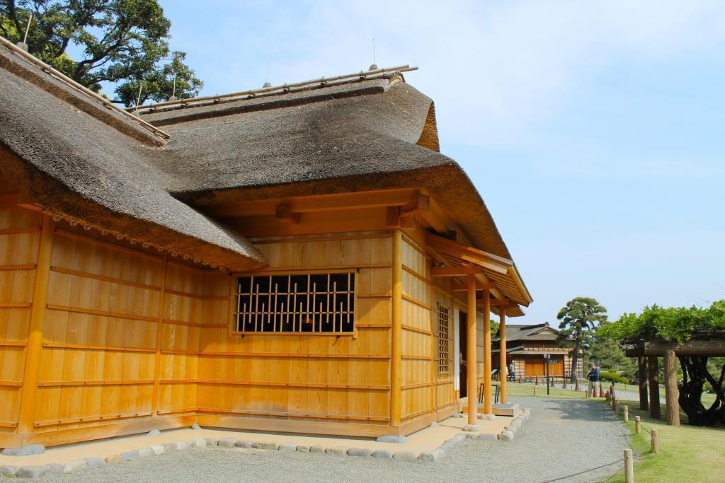  Inumaki fruit of Hamarikyu