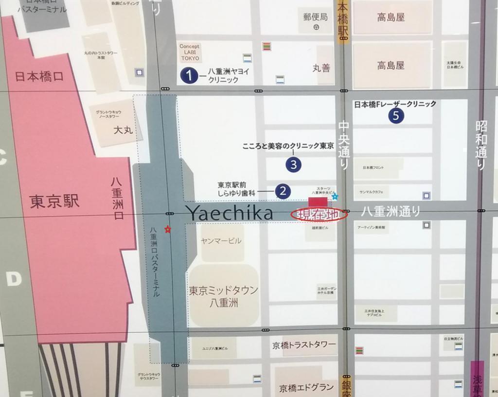 A monument of the median strip of the median strip of Yaesu Street
　　~ Yaesu Street median strip ~