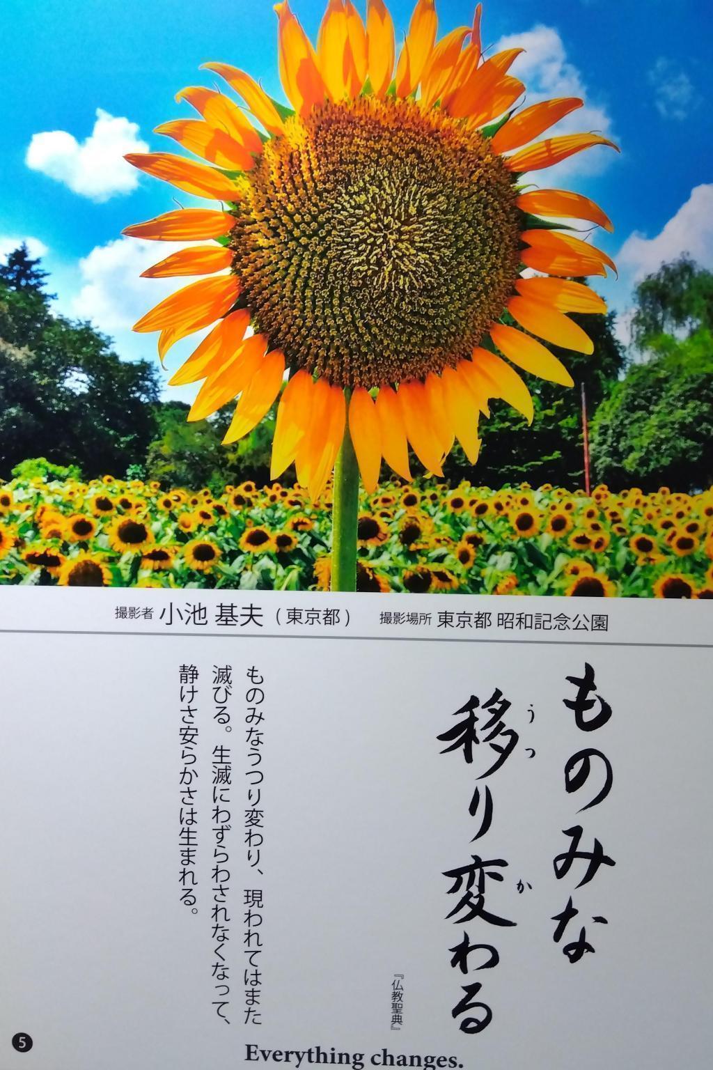 After suffering, the bright sun and the future will surely come (posted by the end of October) Tsukiji Honganji Photo Contest is being held until November 7.