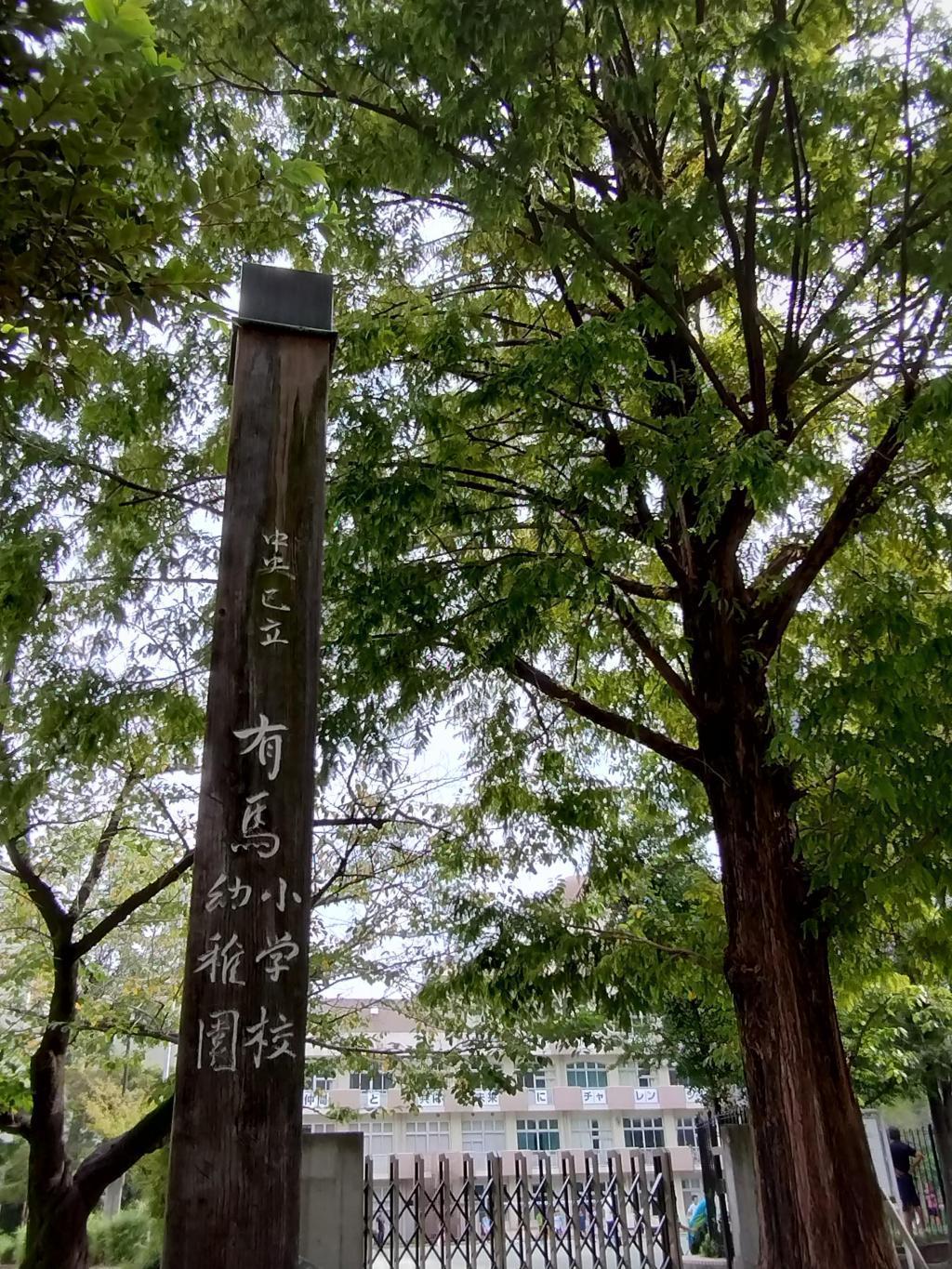  Chuo-ku Park Tour (Karagaracho)