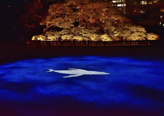  Take a walk on the moon at Hamarikyu Garden
The Moon at Shogun's Ｇarden Hamarikyu on a Fantastic Night 