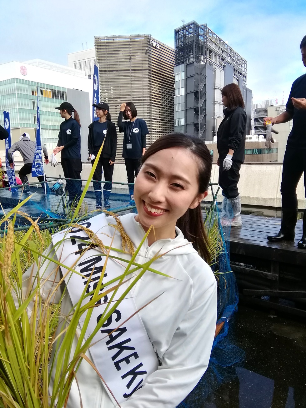  2024 Hakutsuru Ginza Tenku Farm
　Rice harvesting
　　~ Hakutsuru Sake Brewery ~