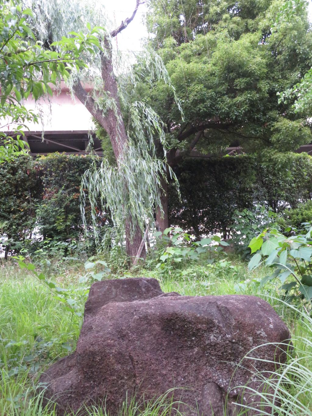 In one corner of Hamacho Park…Rocks and willows and Kiki…What is it? Sumida River Terrace Ryogokubashi-Hamacho Park