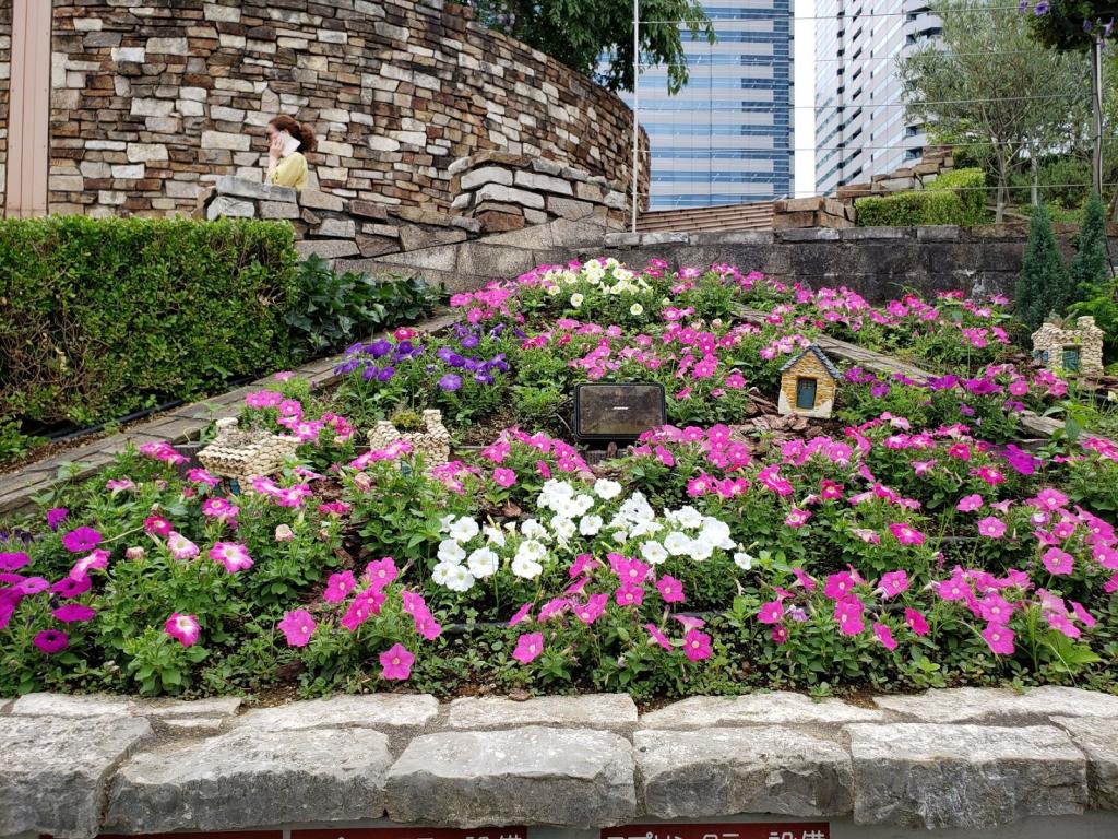  At Harumi Triton Square, colorful flowers are in full bloom.