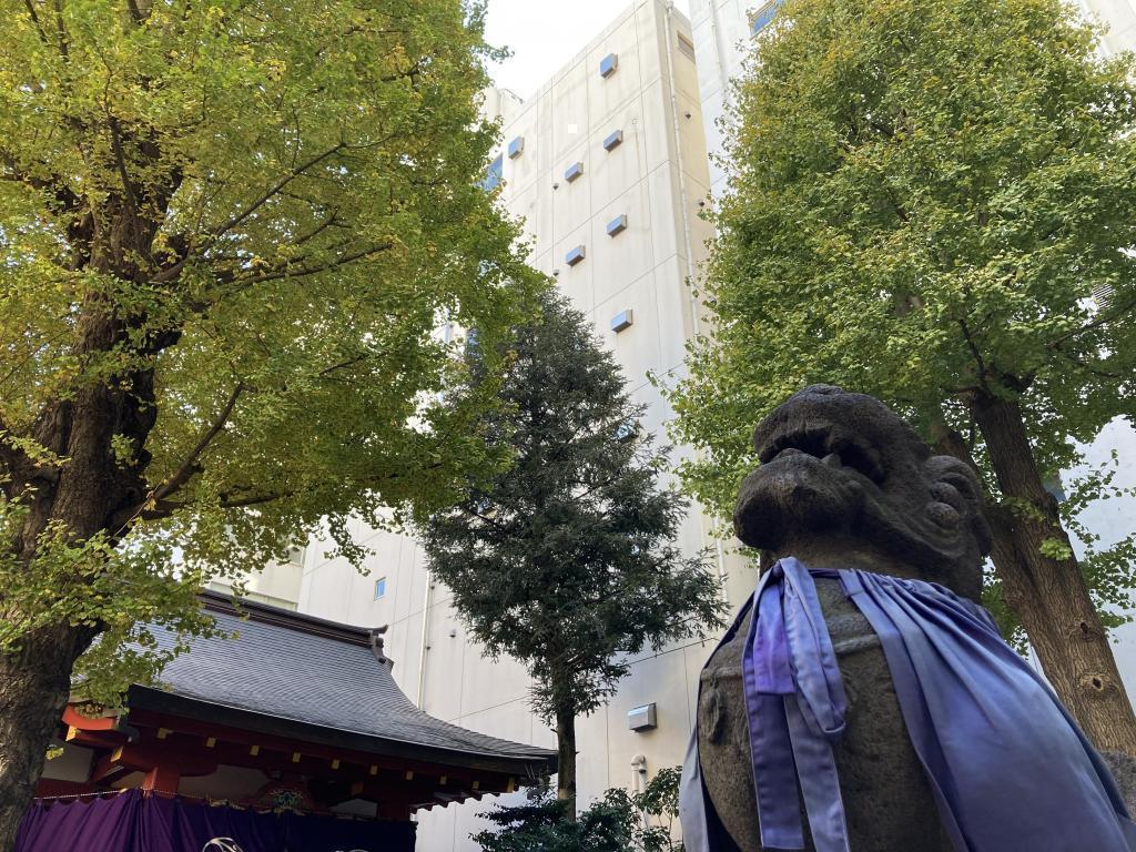 Hie-jinja Shrine Five Selections of Autumn Leaves Spots in Chuo-ku