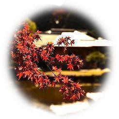  2024 Autumn-colored panorama of Akihiyo Daimyo Garden