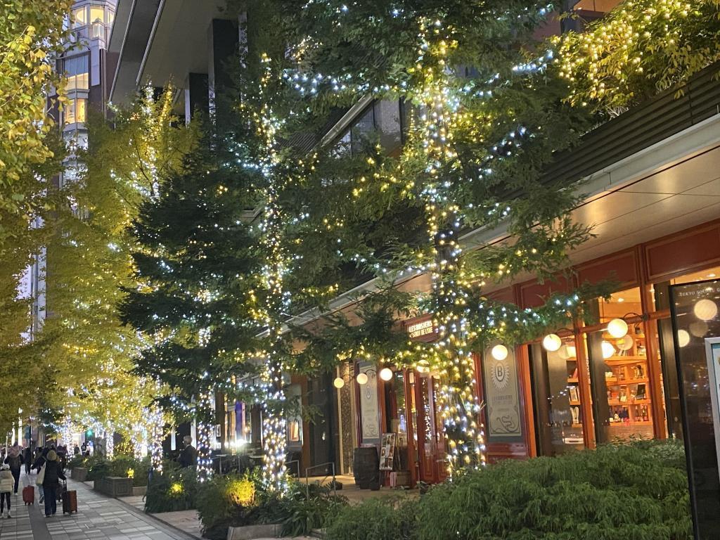  Illuminations of Ginza Shiodome Kyobashi Nihonbashi Yaesu