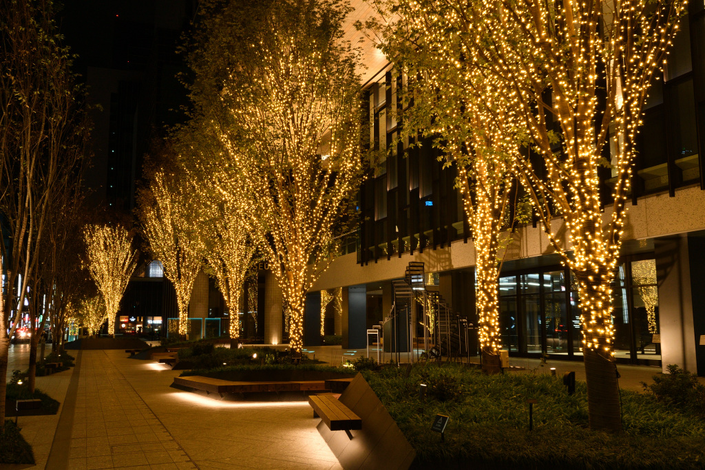  Beautiful Night Views of Kyobashi