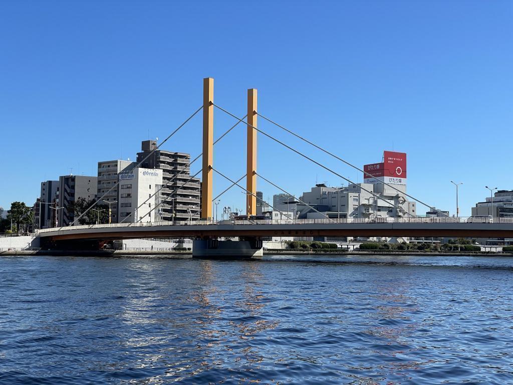  Ginkgo and Sumida River Petit Walk at Hamacho Park