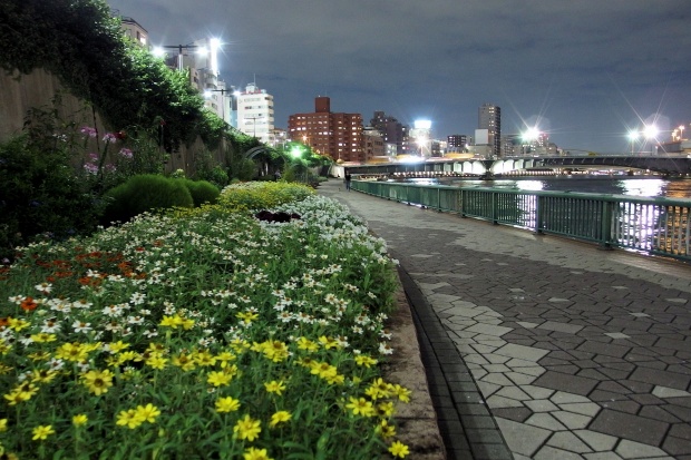  Slightly cool Sumida River