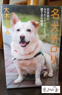  Therapy dog famous dog Tiroli in Chuo-ku