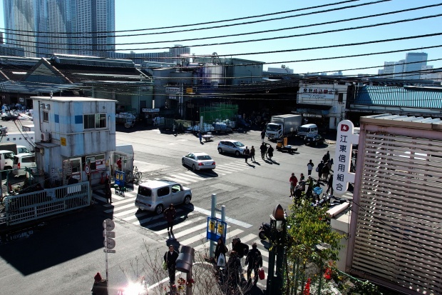  2019 Fall / Today of Tsukiji Market