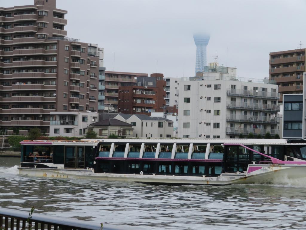  The Fall of 2019 ... at Kiyosu Bridge