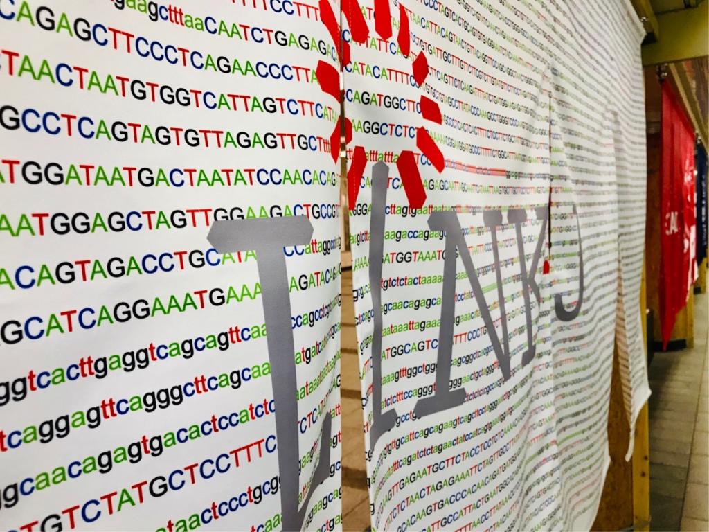 Based on genome information as a motif ~LINK-J ~Stylish Japanese shop curtain ~Meguru noren Exhibition ~