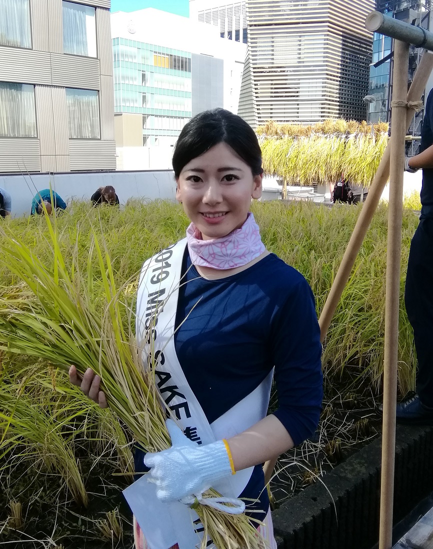 We also have an interview with Rika Tomita, the 2019 Miss Sake Second Grand Prix. 2019 Hakutsuru Ginza Tenku Rice Harvesting
　~ Hakutsuru Sake Brewery ~