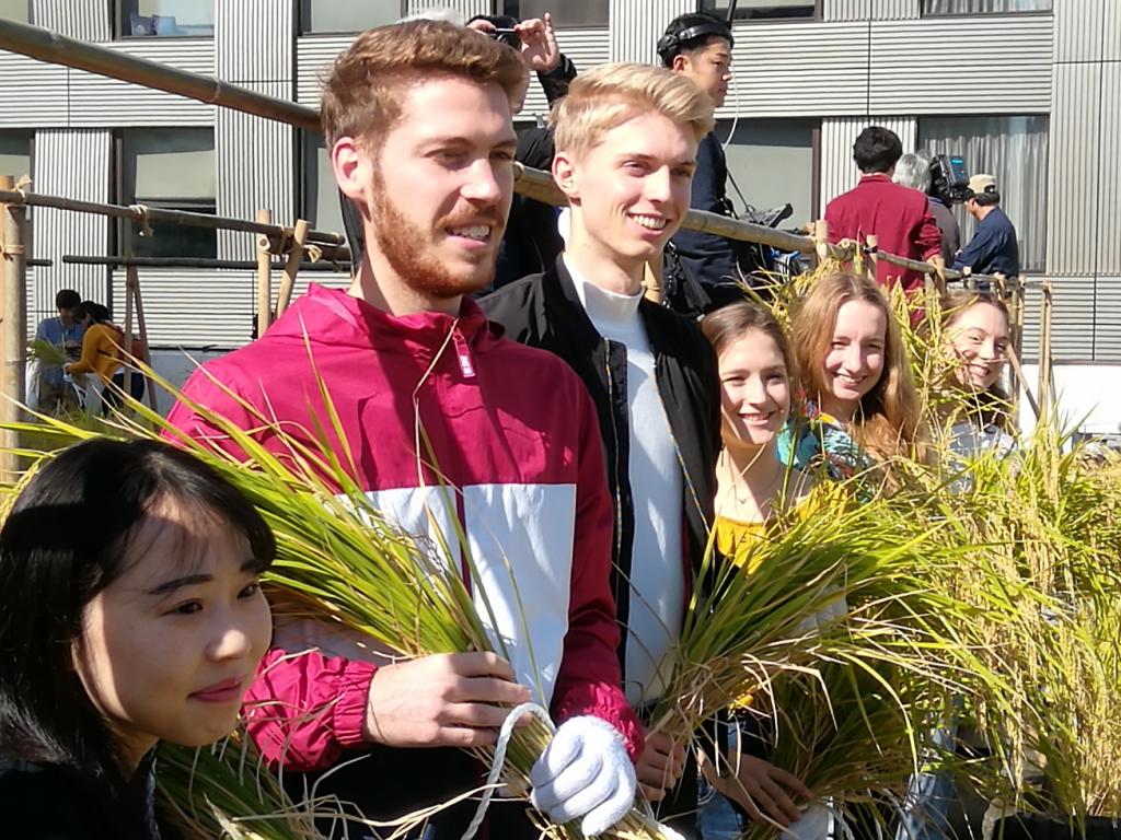  2019 Hakutsuru Ginza Tenku Rice Harvesting
　~ Hakutsuru Sake Brewery ~