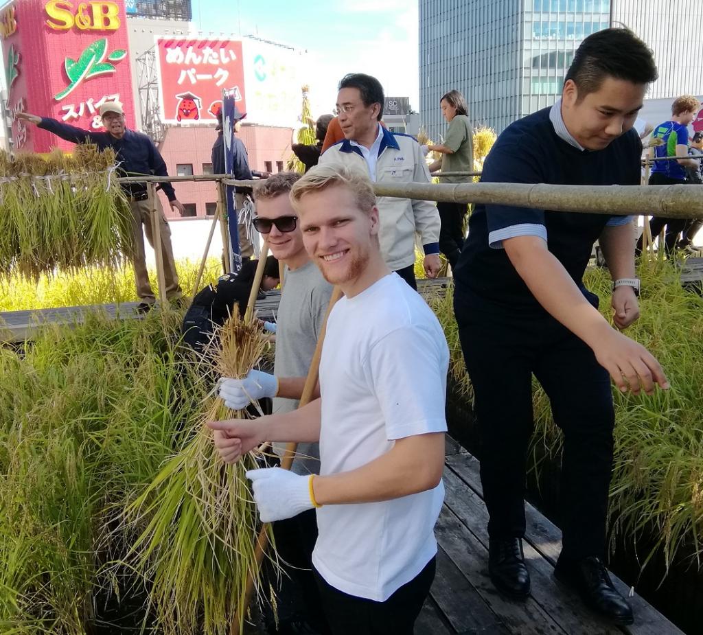  2019 Hakutsuru Ginza Tenku Rice Harvesting
　~ Hakutsuru Sake Brewery ~