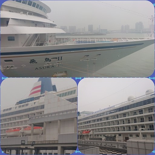  A cruise ship that visited Harumi Wharf in October
~ "The World" and "Asuka II" ~