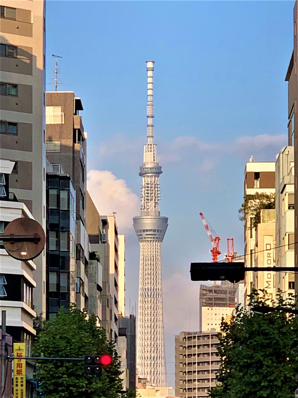 The whole Miyuki-dori Museum: Free bus course (second half)