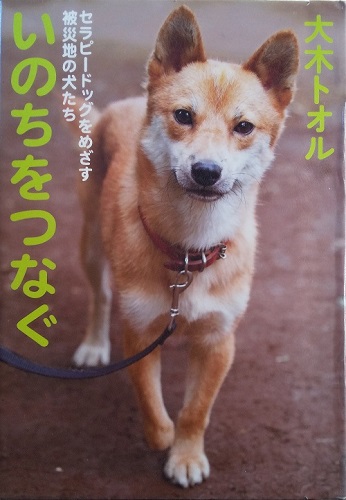  Friends of the therapy dog tiloli in Chuo-ku