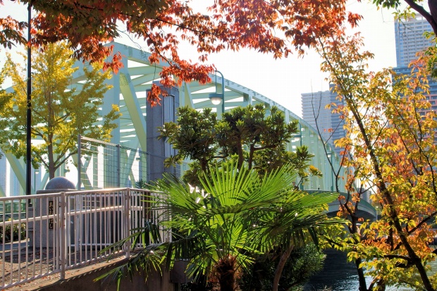  Aioi Bridge is a bridge on the Sumida River.