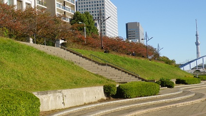  Shinkawa Park in Autumn