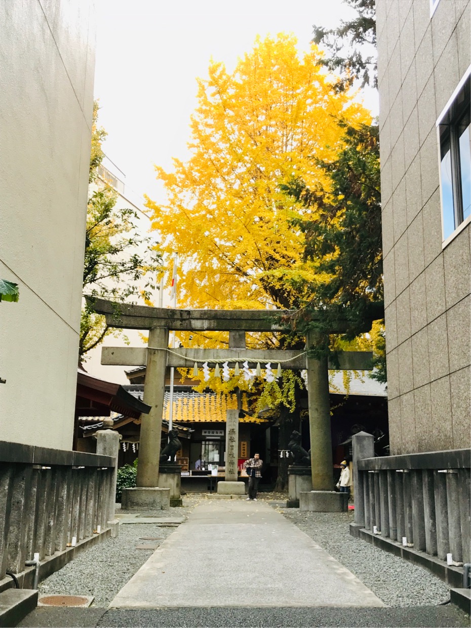 Breath in the golden color of the valley of the building ~ Sanno resting place of portable shrines Nihonbashi Hie-jinja Shrine ~ You may get up! ? Three Shinto shrines with golden ginkgo shining