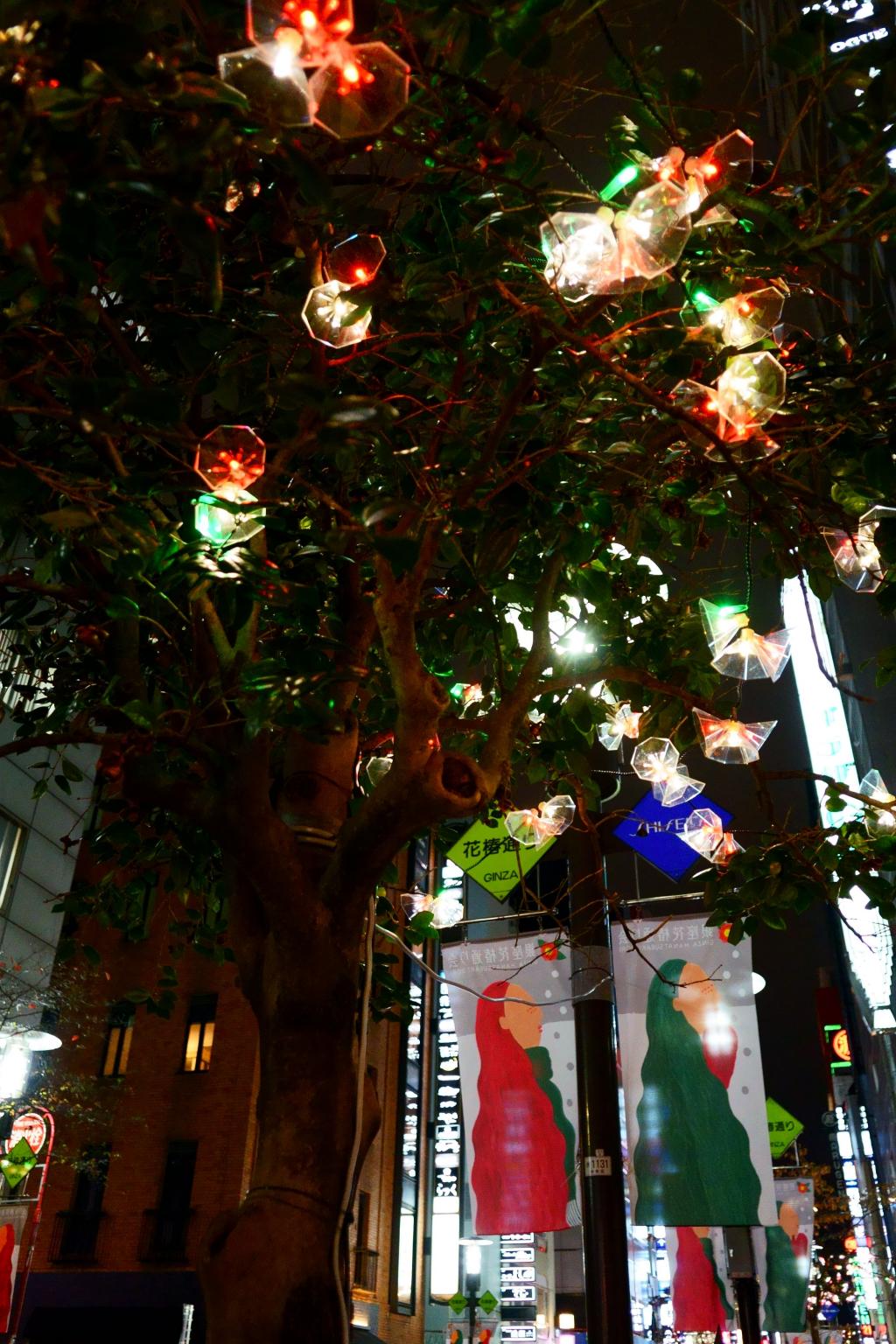 Night view, illuminations around Hanatsubaki Street Ginza