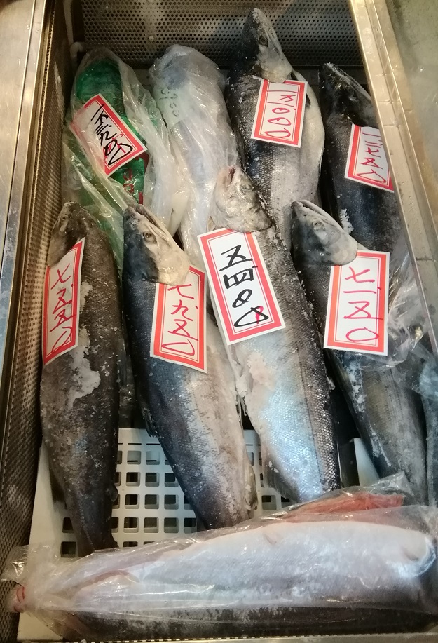 Tsukiji's Shakeko-san, a bottle of salmon, is very friendly.
　~ Salmon Shop Showa Food ~