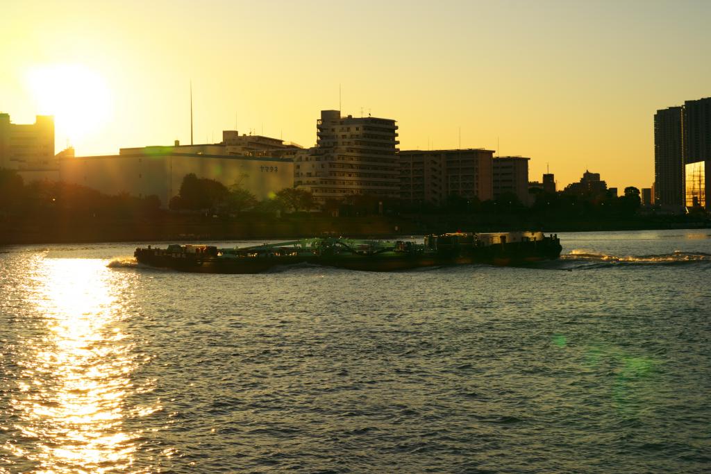 Waterside scenery to be healed The remnants of autumn on Sumida River Terrace