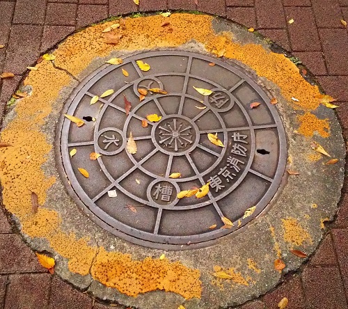  The sidewalk in Chuo-ku is interesting! 31 [Manhole]