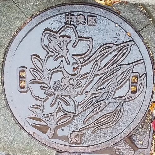  The sidewalk in Chuo-ku is interesting! 31 [Manhole]